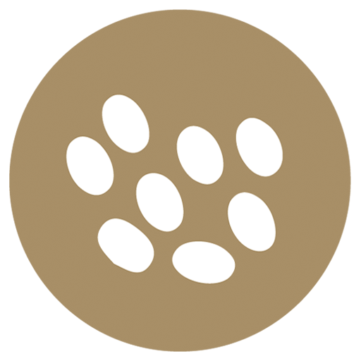 Granos de sésamo