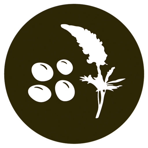 Altramuces